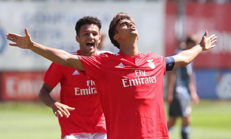 Entdecken Sie die Vielfalt von Zotabet - Deutschlands Online Casino-Alternative, zotabet online casino